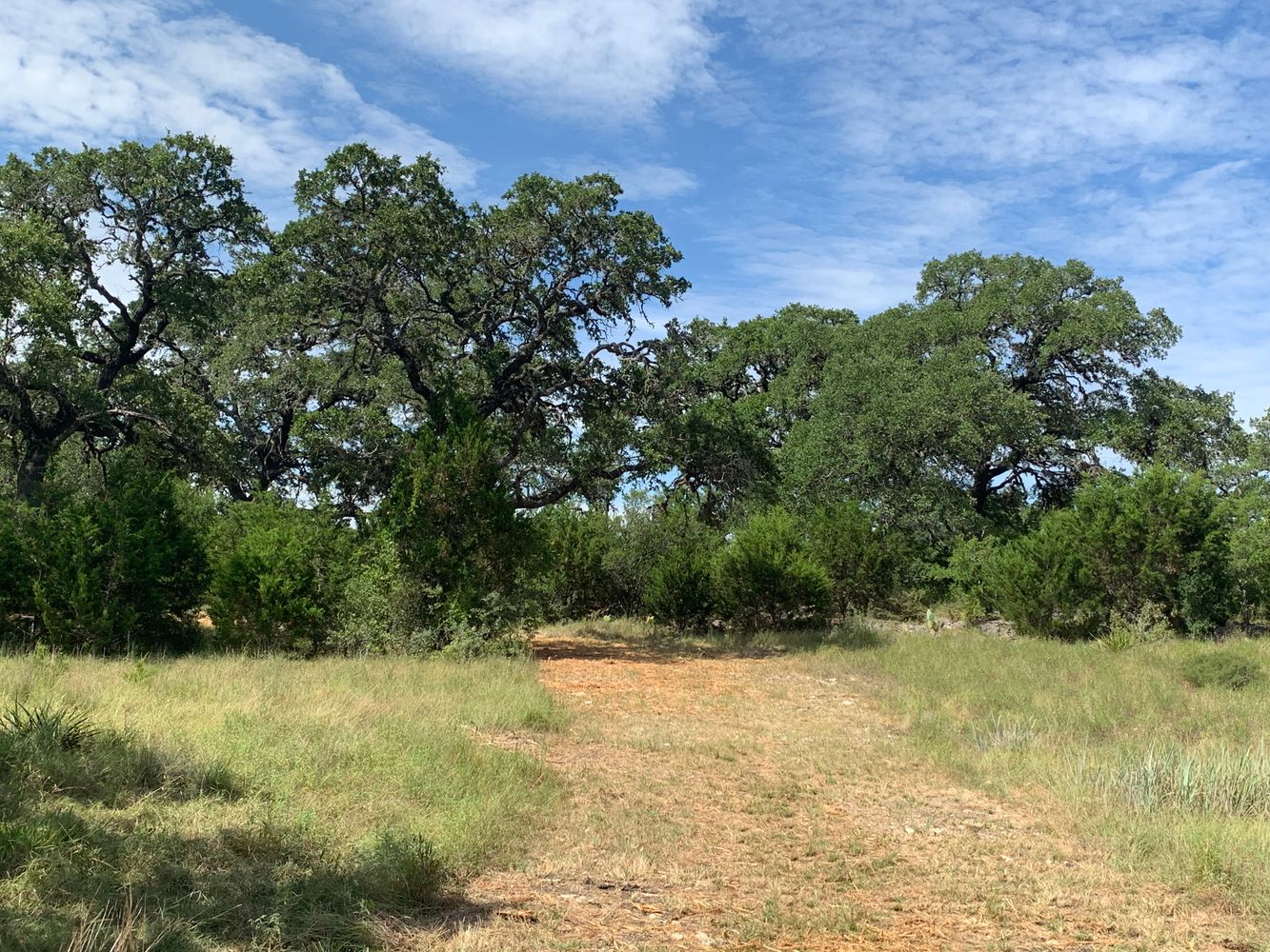 part of edmond ranch: 000 FM 32, Blanco, TX 78606